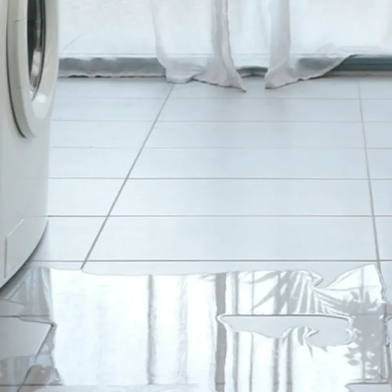 Appliance Leak Cleanup in Perry, OH