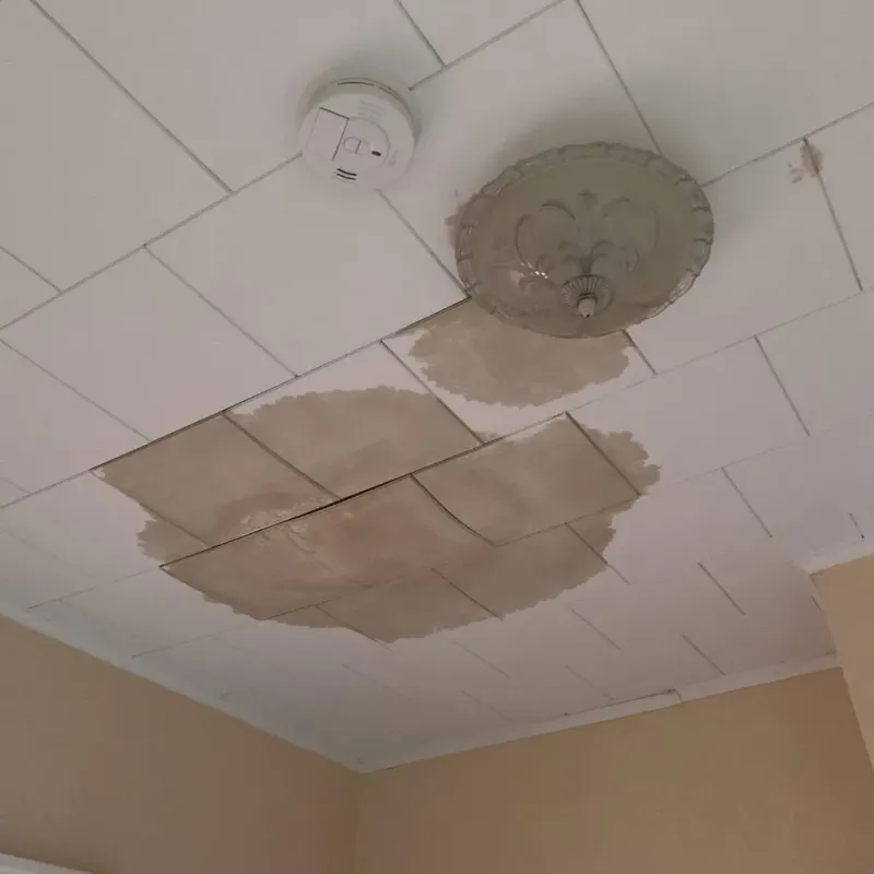Ceiling Water Damage Repair in Perry, OH