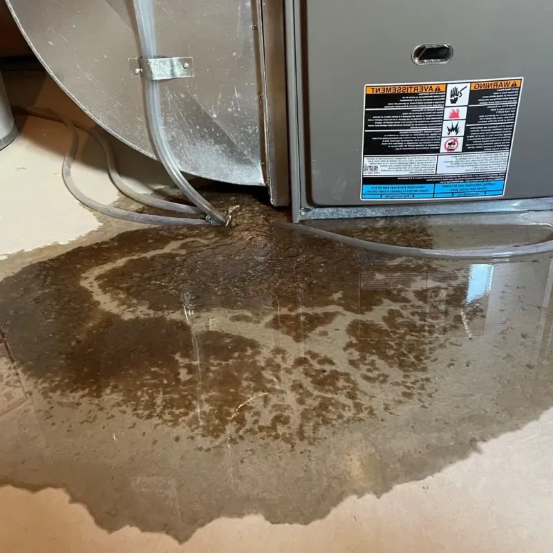 Pipe Burst and Leak Restoration in Perry, OH