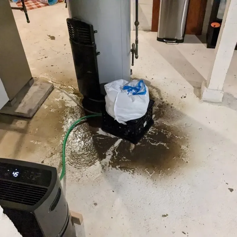 Sewage Backup Cleanup Service in Perry, OH
